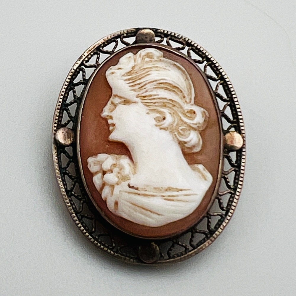 Vintage Cameo Pendant Oval Left Facing Lady Portrait Gold Tone Antique‎ Style
